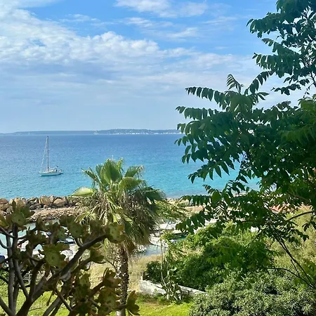 Mono Fontanelle